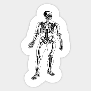 Skeleton Sticker